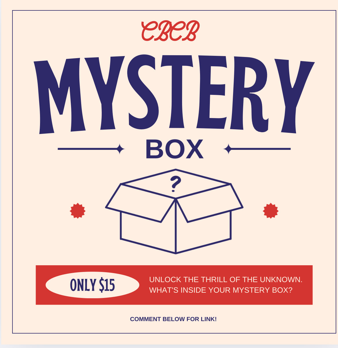 Mystery Box Summer Outfit
