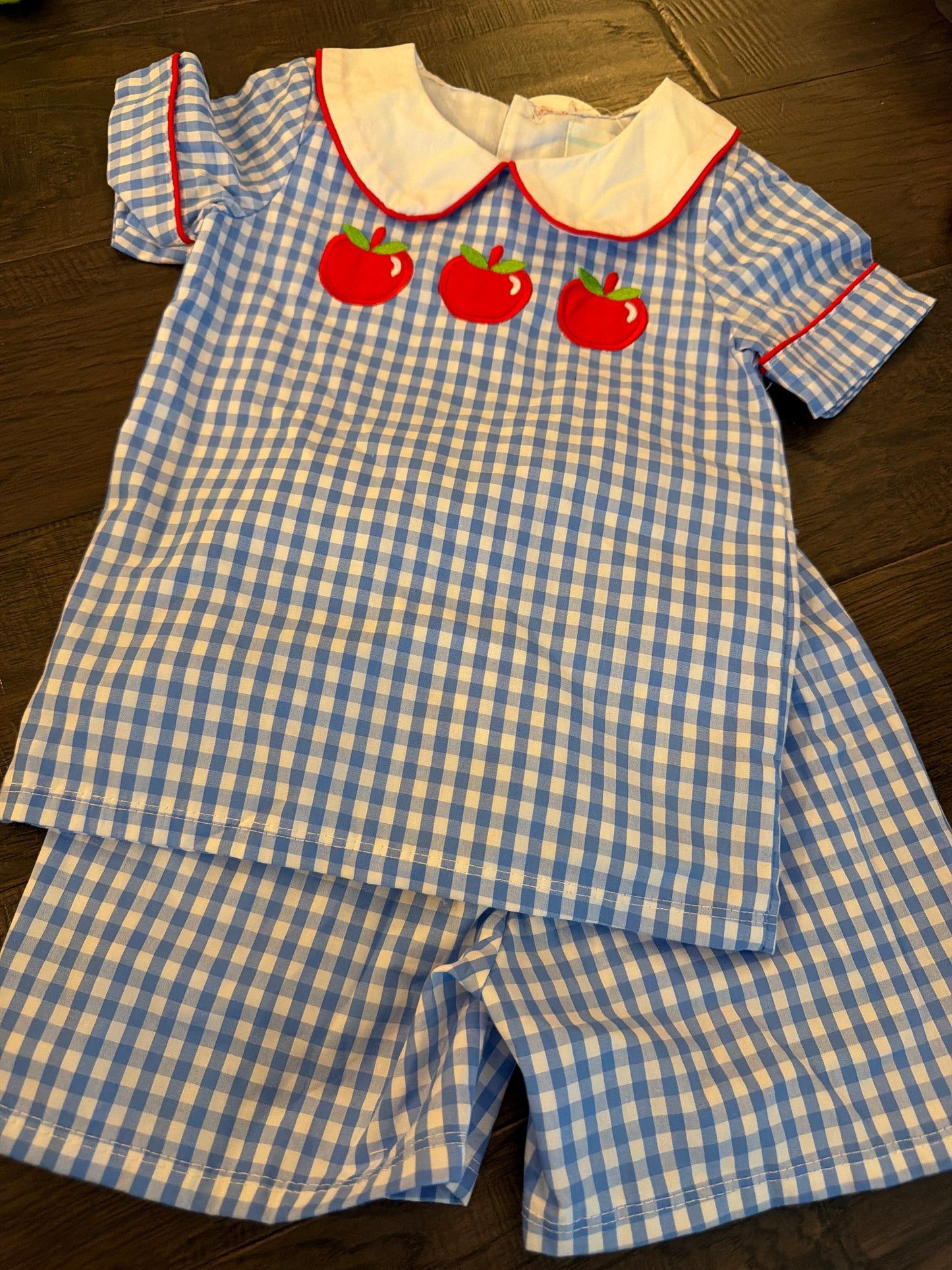 Apple Blue Gingham Peterpan Short Set