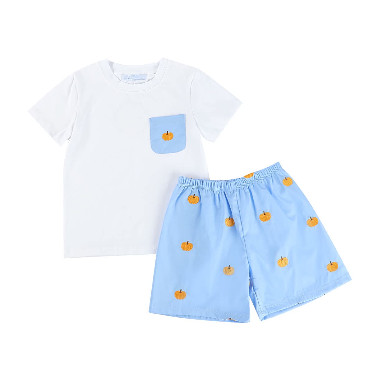 Sample Pumpkin Embroidery Pumpkin T