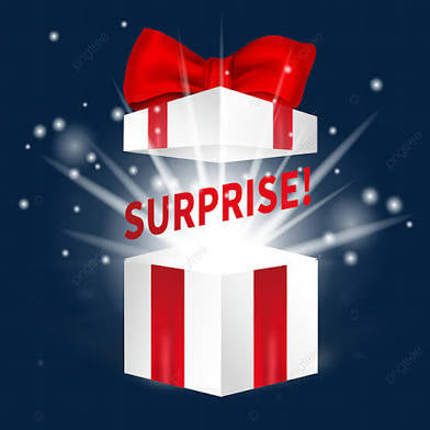 Mystery Box Winter Outfit